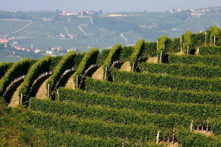 Agriturismo Cascina Rabalot Diano dʼAlba المظهر الخارجي الصورة