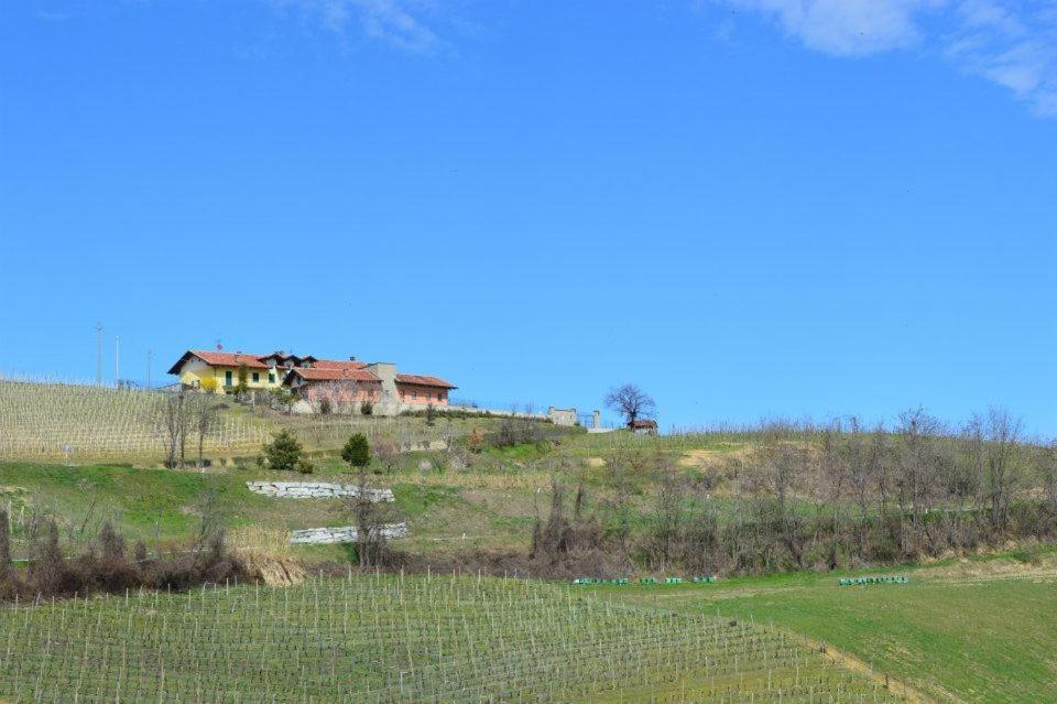 Agriturismo Cascina Rabalot Diano dʼAlba المظهر الخارجي الصورة