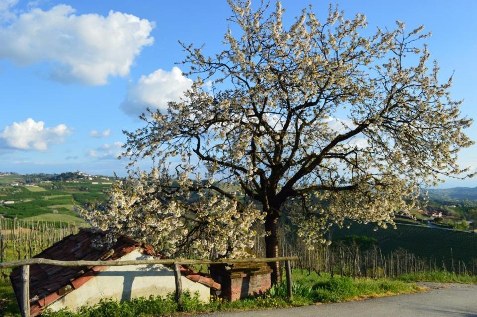 Agriturismo Cascina Rabalot Diano dʼAlba المظهر الخارجي الصورة