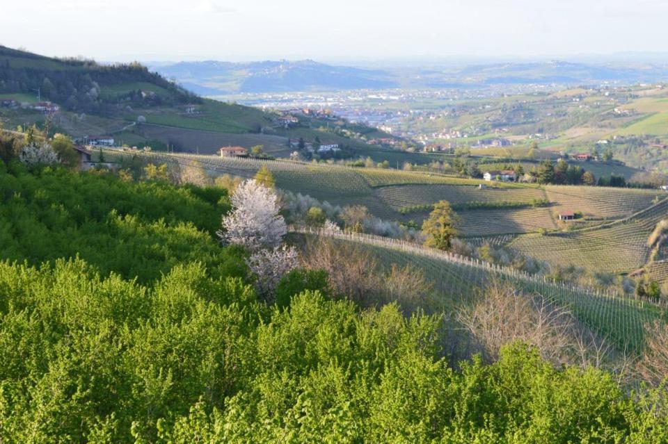 Agriturismo Cascina Rabalot Diano dʼAlba المظهر الخارجي الصورة